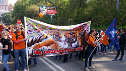 ДЕНЬ ТИГРА 2016